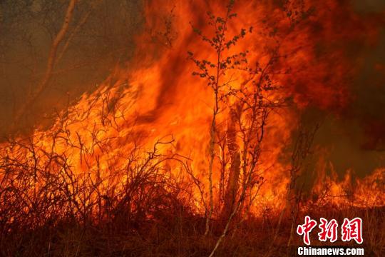 图为内蒙古陈巴尔虎旗森林火灾现场。　毛亚团 摄