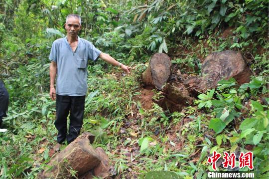 图为犯罪嫌疑人金某指认现场。　解雄波 摄