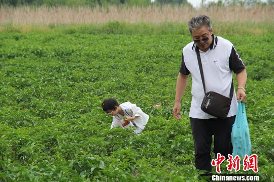 图为祖孙二人正在挑选蔬菜。　袁晶 摄